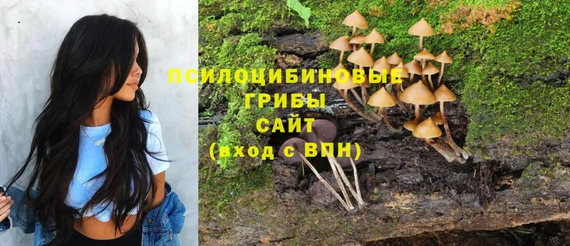 Галлюциногенные грибы Psilocybe  ОМГ ОМГ   Лесосибирск  купить наркотик 